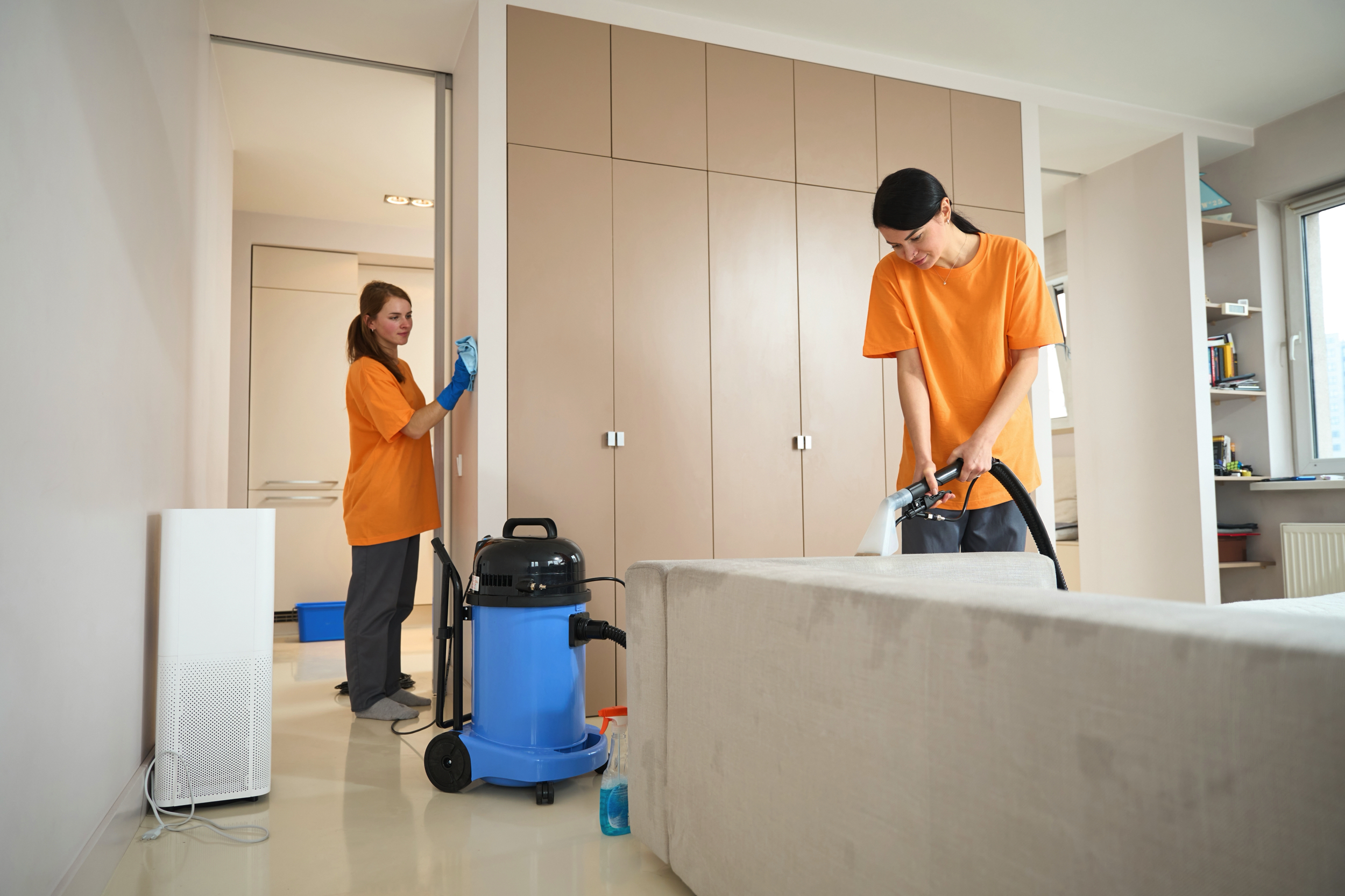 Eco-friendly cleaning solutions in Auburn